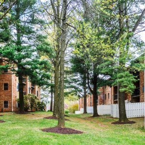 Trees, flowers, and landscaping at apartment community